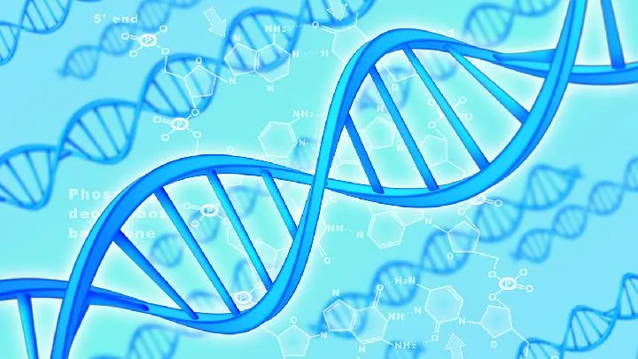 Y染色体缺失自然怀孕了