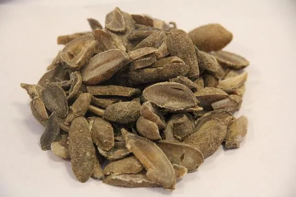 黄体汤中药能帮助着床吗