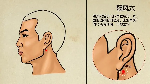为什么尿酸高的原因中医解释