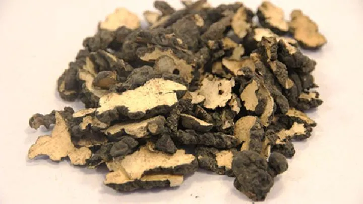 女性要注意服用的叶酸片剂量 食用叶酸时需要注意哪些事项