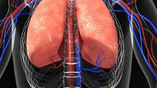 先天性肺囊状腺样畸形需要手术吗