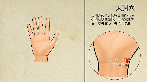 催乳素偏高的原因和中医