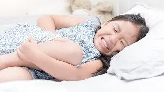 多种菌类伴我们 健康美味每一天