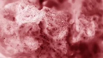 多种菌类伴我们 健康美味每一天