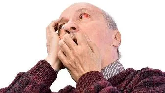 健脑选对法  食谱补脑最靠谱