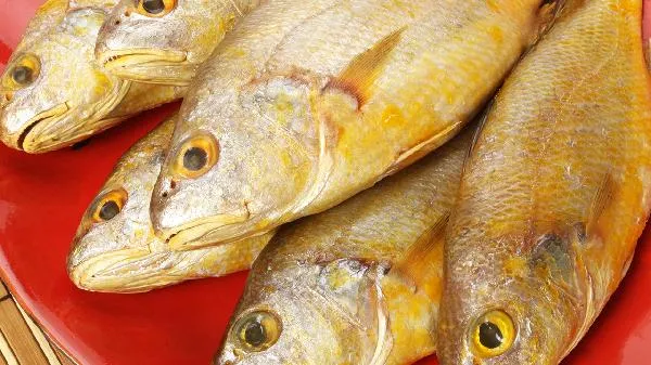 小孩子肉吃多了好吗？ 要注意哪些饮食原则？