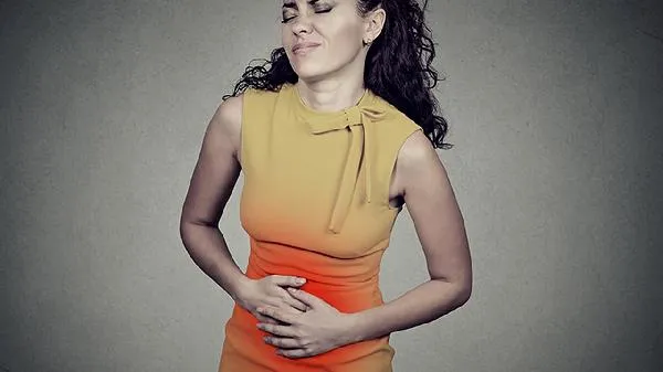 女性是雌激素还是雄激素