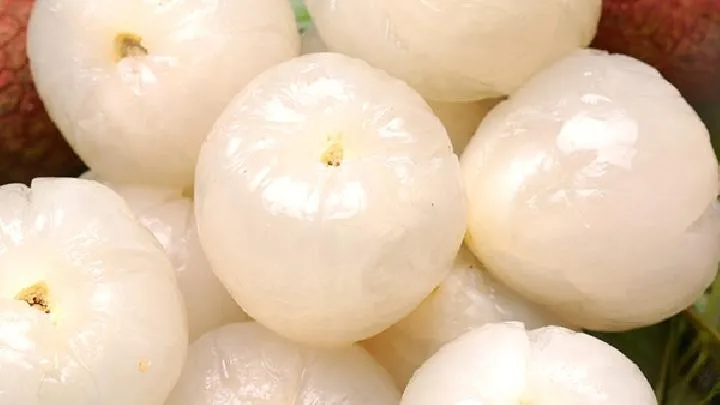 备孕期间可以吃荔枝吗