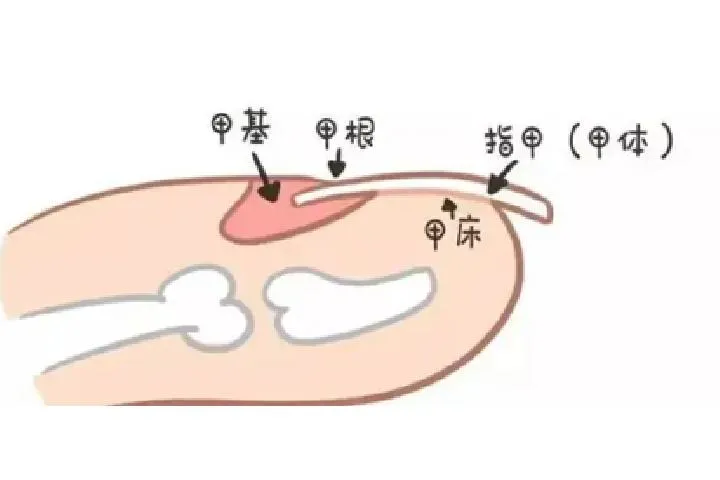 自尊心强好还是弱好