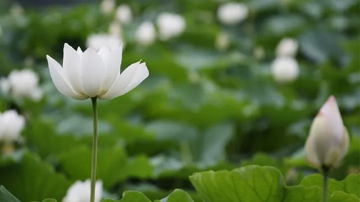心理测试 怎么从“吃相”看出性格