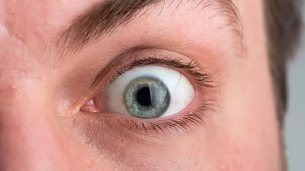 相处久了看对方不顺眼