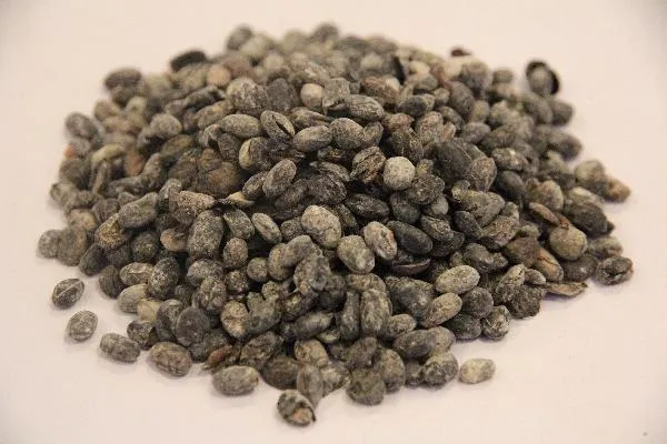 长期服用药物导致目光呆滞、僵直怎么办
