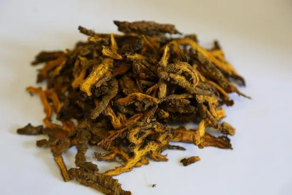 内啡肽和多巴胺的区别与药物作用