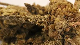 心理测试 准确测出谁是你最难割舍的人？