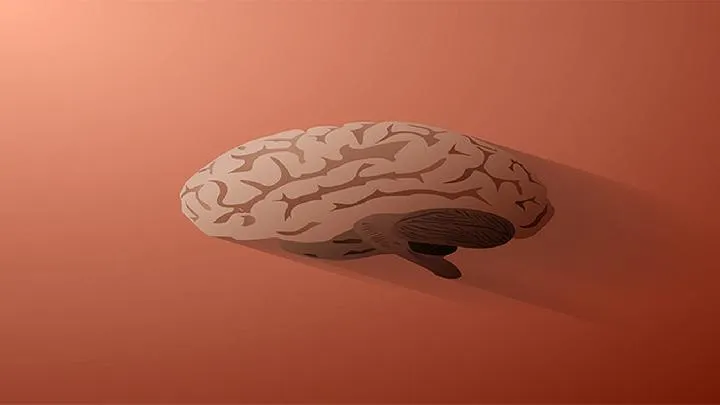 恋爱脑什么意思