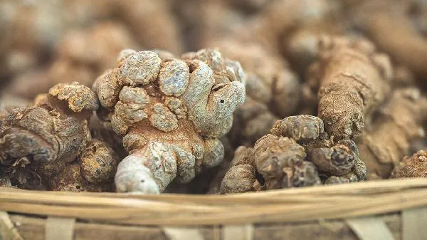 中医调理注意力障碍