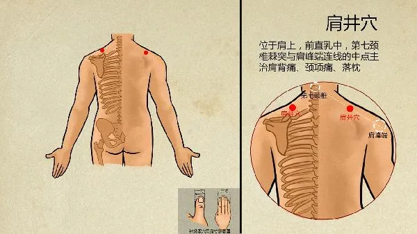 爱忘事记忆力差怎么回事中医 记忆力差中医辨证