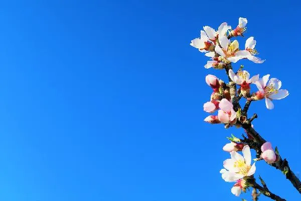 逆向思维最明显的特征