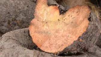 心理测试 快来测测你被人欺负的指数有多高