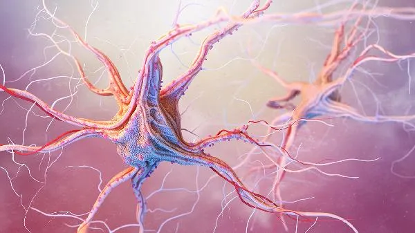 神经病变引起的疼痛