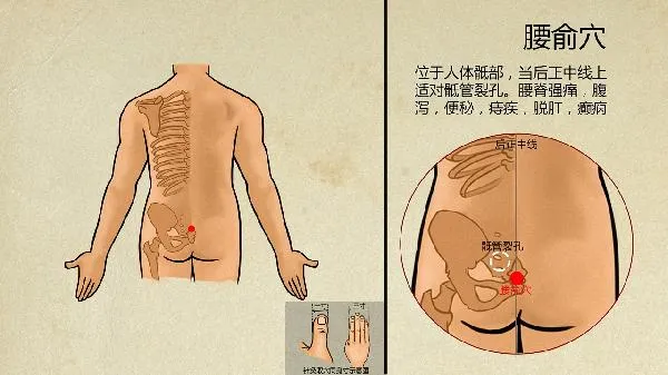 爱忘事记忆力差怎么回事中医 爱忘事是什么病