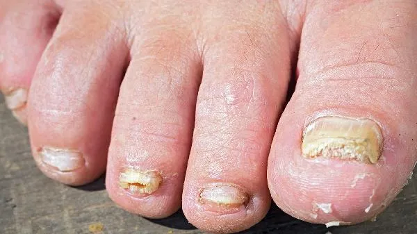 不可深交的人的性格