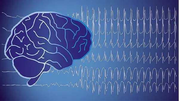 大脑处理数学的区域