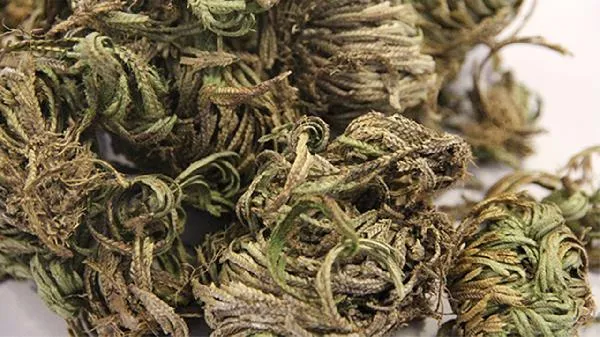 不惯着别人的人是情商低吗