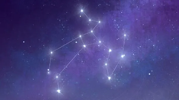 12星座谁能嫁给明星