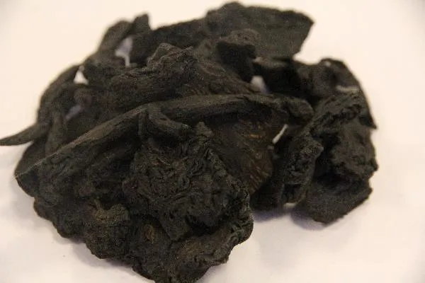 爱忘事记忆力差怎么回事中医 爱忘事儿怎么办