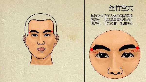 16型人格稀有度排名