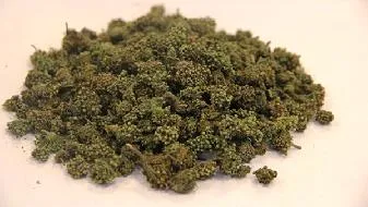 情感测试 测试你是不是容易被欺骗？