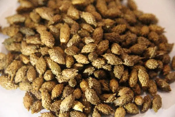 一味中药治好重度抑郁