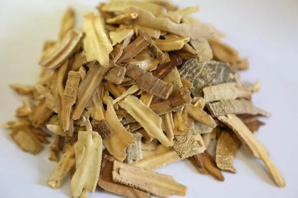 adhd的治疗药物