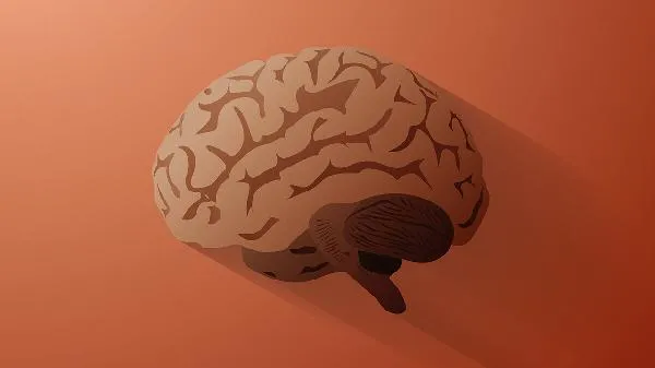 大脑迟钝注意力不集中吃什么药