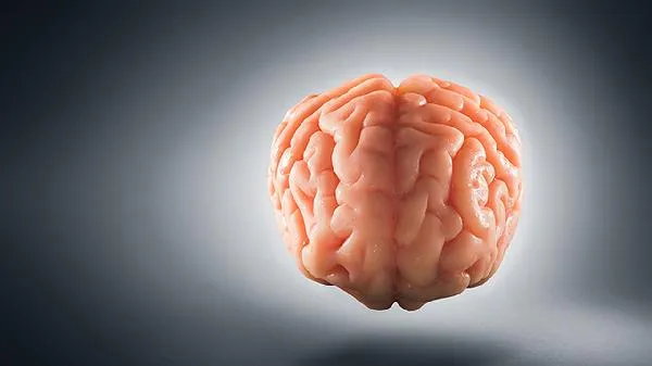 大脑不开窍是什么原因造成的 什么刺激大脑开窍