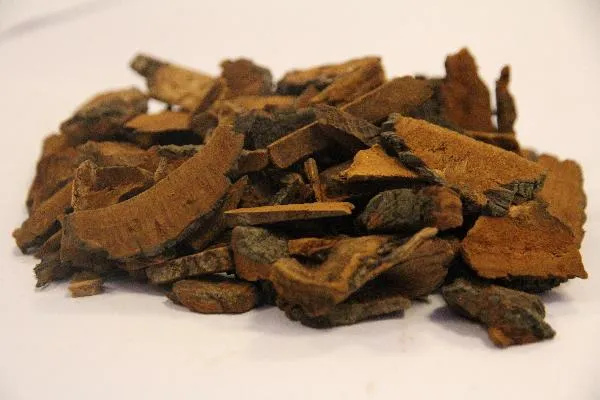 治疗记忆力减退的药物有哪些