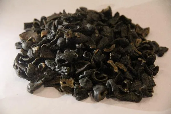 治疗记忆力减退的药物有哪些