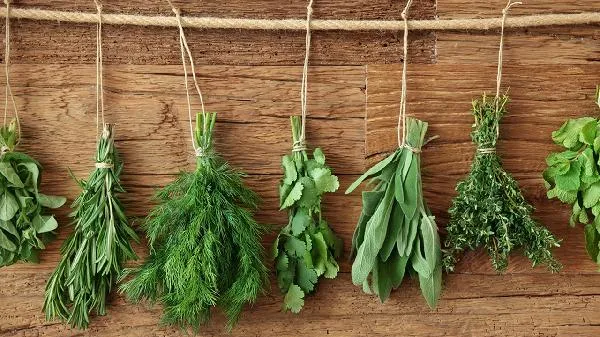 宝宝情绪不稳的时候吃蔬菜可以吗