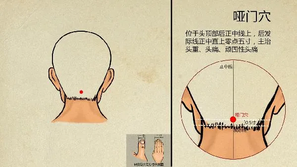 爱忘事记忆力差怎么回事中医 记忆力差中药配方