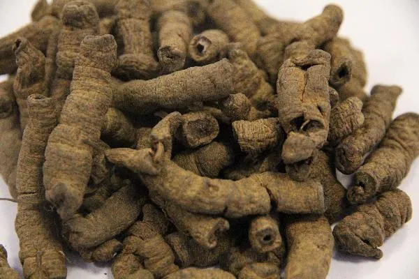 冲动控制障碍的药物治疗