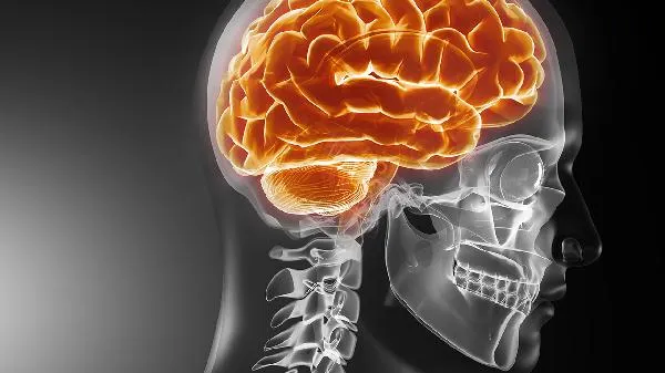 大脑突然失去意识几秒就好了和心脏有关系吗