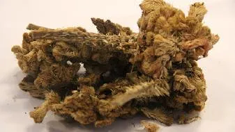 你的心理年龄多大 赶快做个心理测试吧