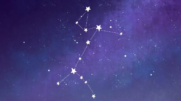 12星座哪个星座女生最聪明