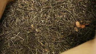 心理测试题 快来测试下你真的是个善于把握时间的人吗