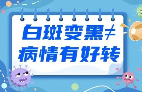 白癜风初期好转几率高吗？早治早好成功率超高