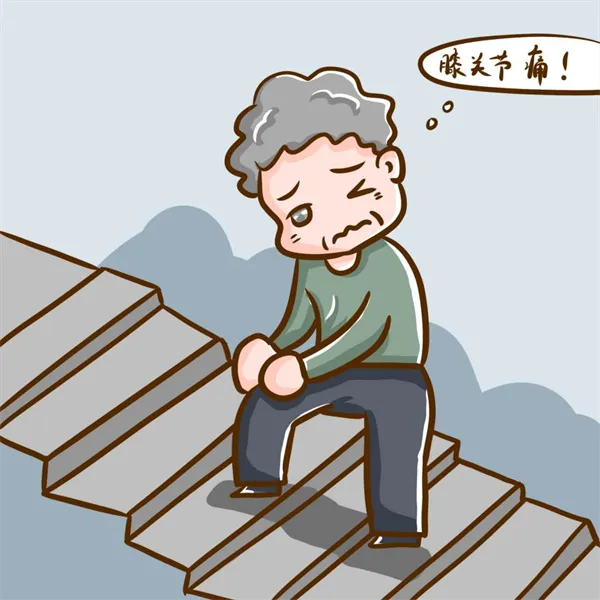 氨糖哪个牌子好？选错没效还浪费钱？