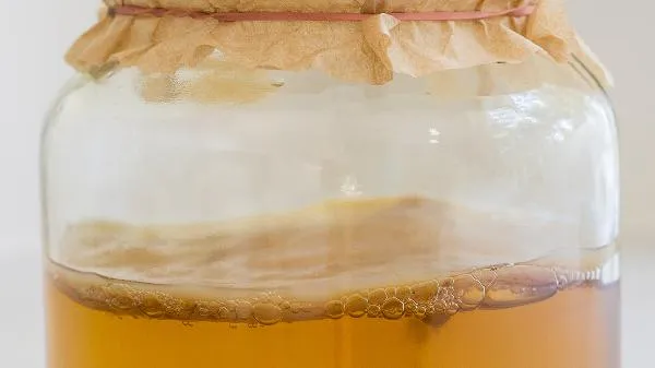 酵素减肥的效果真的很好吗？