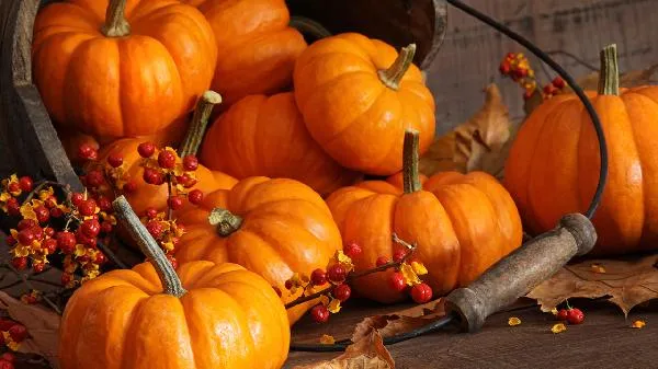 想要练好腹肌饮食方面要注意哪些事项