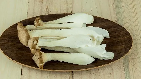 减肥可以吃杏鲍菇吗